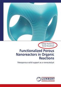 دانلود کتاب Functionalized Porous Nanoreactors in Organic Reactions