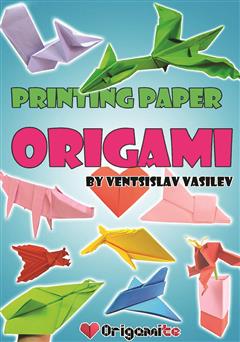 دانلود کتاب Origami Book