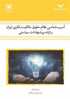 دانلود کتاب آسیب شناسی نظام حقوق مالکیت فکری ایران: پیشنهادات سیاستی