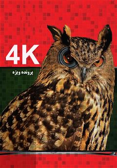 دانلود کتاب 4K