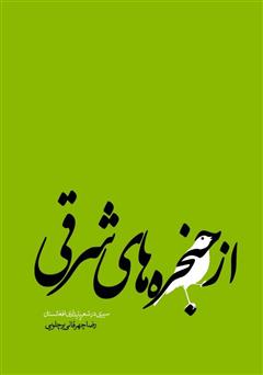 دانلود کتاب از حنجره‌های شرقی: سیری در شعر پایداری افغانستان