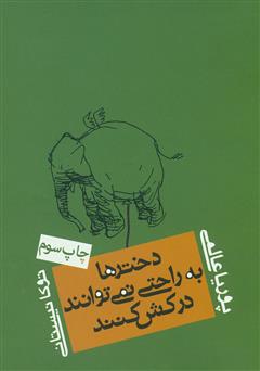 دانلود کتاب دخترها به راحتی نمی‌توانند درکش ‌کنند