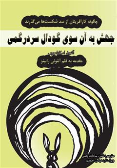 دانلود کتاب جهش به آن سوی گودال سردرگمی: چگونه کارآفرینان از سد شکست‌ها می‌گذرند