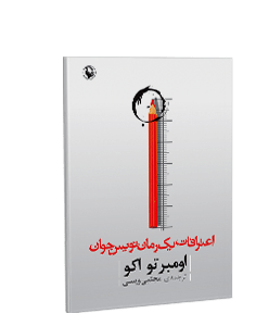 اعترافات یک رمان نویس جوان