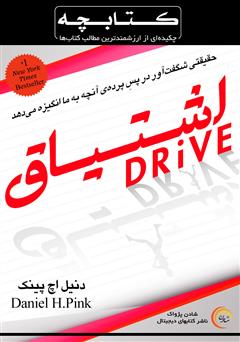 دانلود کتاب خلاصه اشتیاق: حقیقتی شگفت آور در پس پردهی آنچه به ما انگیزه میدهد