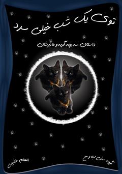 دانلود کتاب توی یک شب خیلی سرد