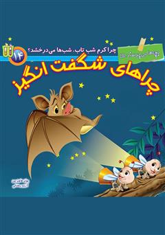 دانلود کتاب چرا کرم شبتاب، شبها میدرخشد؟
